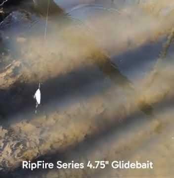 HPF RipFire Series 4.75" Jointed Glidebait