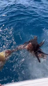 Caught a massive Goliath Grouper and thought it was all smooth... until that tail slap nearly knocked me out! 😂💥 Watch the wild moment as we reel in this underwater beast and safely release it back. Respect the giants, but stay outta the way of that tail! • 🎥 Epic fishing vibes 🎣 Catch & release done right 🌊 Big fish, bigger splash 👇 Drop a comment if you’ve ever had a close call on the water! #grouper #grouperfishing #fishing #catchandrelease #fl #catchandreleaseonly #offshore #offshorefi