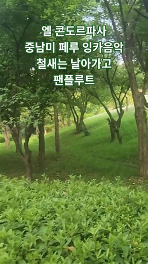#엘콘도르파사 #(El Cóndor Pasa) #네오나자르 #중남미안데스음악