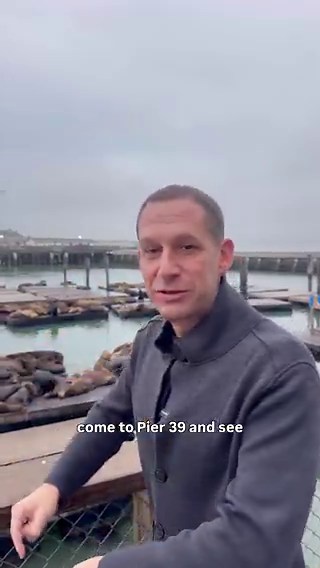 On the hunt for Chonkers🕵️‍♂️ I woke up bright and early to try and sneak a peak at the massive stellar sea lion that has stolen the hearts of San Franciscans and so many people across the country. I didn’t find him this morning but that doesnt mean you cant come down to Pier 39 to try for yourself!