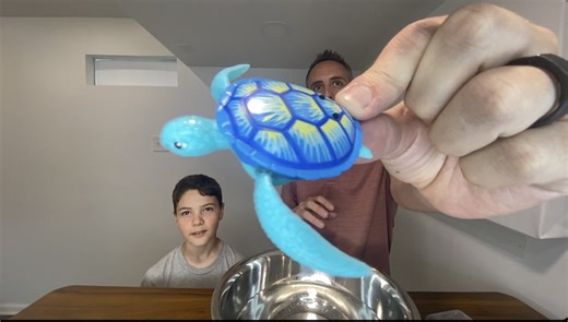Watch Best Bathtub Toys? | ROBO Alive Swimming Robot Turtle Toy on Amazon Live