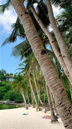 Boracay island|Puka Beach|Travel Philippines🌴🕶️☀️ Summer 2026 #shorts