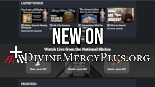 NEW EPISODE: Available Now! "Mercy Moments Bible Study" with Fr. Anthony Gramlich, MIC! Watch exclusively on DivineMercyPlus.org. Streaming every Tuesday, you can discover more about the greatest attribute of God — Mercy — as we read through key passages across the entire Bible. Follow along! To order your Divine Mercy Bible, visit: https://shopmercy.org/divine-mercy-catholic-bible.html?source=fb | Divine Mercy (official)
