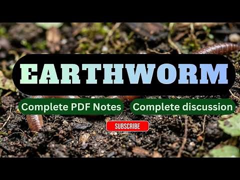 Earthworm Explained: Structure, Morphology & Digestive System Notes ‪@Zoologyworld‬ #earthworms