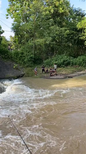 Mancing Liaran di Mangir Kepanjen: Tips & Lokasi