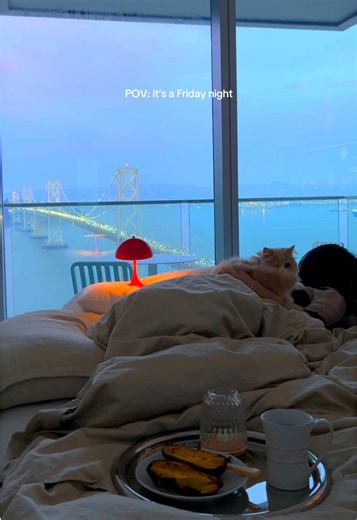 tonight, no parties, just in my kind of peace, by the bay bridge #slowliving #athome #catlife #aesthetic #homebody