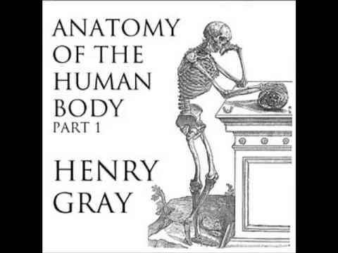 Anatomy of the Human Body (FULL Audiobook) - part (1 of 39)