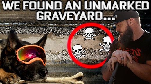 Cadaver dogs search suspicious location in ongoing Susan Powell case