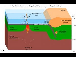 Expansion océanique_Subduction_Volcanisme de subduction