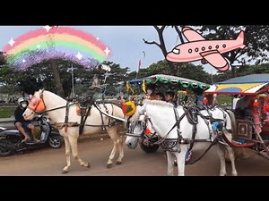 PANGKALAN TUKANG KUDA DELMAN SAIS BENDI TANAH KUSIR