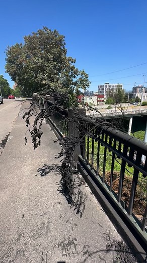 A major Homeless camp under a freeway burns. This is why we can’t allow camps to be in areas like this. Sanctioned camping with 24 hour wraparound care would solve this problem as long as the focus was to help everybody reach their fullest potential and become self-sufficient. #homeless | Truth on the streets