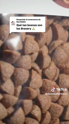 Análisis de Croquetas Bravery para Perros