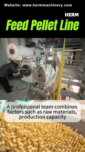 How to Produce High-Quality Animal Feed at 8-12 Tons/Hour | Herm Machinery #feedpelletmills
