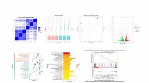转录组测序分析教程-6.PPI蛋白互作网络分析