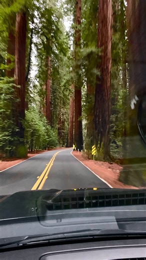 I started hanging sheetrock with a neighbor that needed help when I was 14, went to school for architecture and civil engineering at 18, became a certified energy auditor when I was 19, and the rest of my life has been focused on conservation. I might not be a young carpenter anymore, but I have battle scars and have been fortunate to have completed 300 remodel jobs by the time I was 24, and then designed 750 places that have been built. If you want to educate yourself on Building Sustainably, I