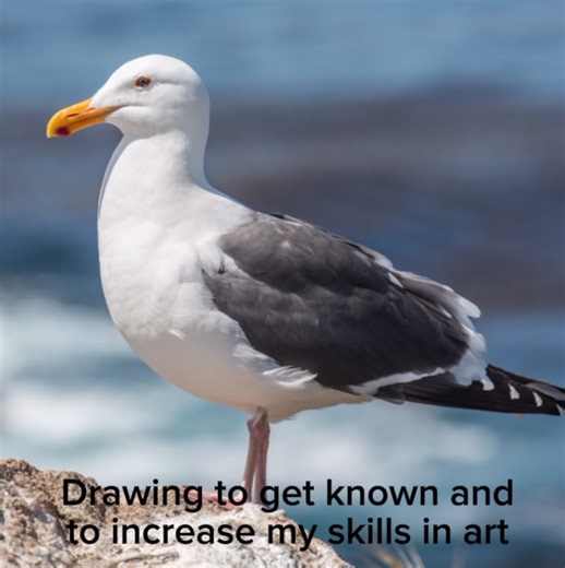 Creative Drawing Ideas for Art Enthusiasts