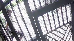 Atlanta police seek public's help to identify suspect in Decatur Street shooting