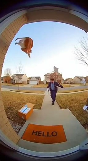 Cat vs Mailman: Who's the Real Villain Here? #DoorbellCamera #RingCamera #CaughtOnCamera #FunnyShort