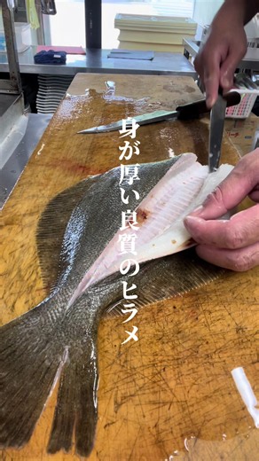今日はヒラメを5枚おろし。 厚みのあるヒラメの身を、 骨に沿って包丁を入れながら、 一枚一枚、丁寧に捌いていきます。 同じ魚でも、 包丁の入れ方ひとつで仕上がりが変わる。 刺身で食べたときの食感、 口に入れたときの美しさまで考えて、 魚屋は今日も仕込みます。 これが、 魚屋の5枚おろし。 ◼️◼️◼️◼️◼️◼️◼️◼️◼️◼️ 🦀越前がに（越前ガニ／越前かに）とセイコガニ（せいこがに）と福井の海を味わう海鮮レストラン🦀 魚屋の喰い処まつ田 福井市蒲生町16-7-1 TEL0776-89-2740 営業時間11:00〜16:00 LO15:00 定休日 木曜日（4月〜10月春夏休み除く） ◼️◼️◼️◼️◼️◼️◼️◼️◼️◼️ #ヒラメ #5枚おろし #魚の捌き方 #魚屋 #福井グルメ