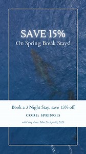 Spring into savings! Save 15% off on your spring getaway with code SPRING15. Enjoy whale watching, explore tide pools, hike trails, and unwind in our homes with stunning ocean views. Book Now! | Oregon Beach Vacations | Facebook