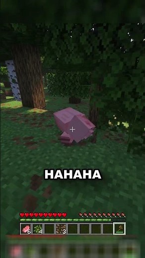 Minecraft, but with realistic gravity! (Physics Mod)