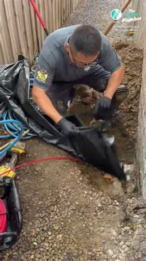 How Pros Apply Resin Properly 💧 | Relining Process