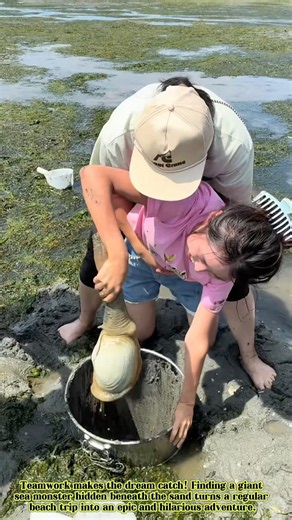 Unbelievable Geoduck Catch: Pulling a Giant Clam Out of the Mud!