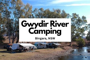 ⛺️ Gwydir Riverside FREE Camping, Bingara NSW |