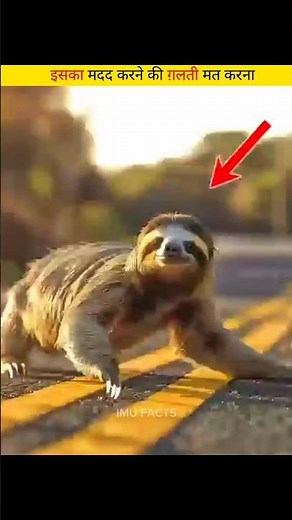 इसका मदद करने कि गलती मत करना। Don't make the mistake of helping him. #shorts #facts #hindishorts