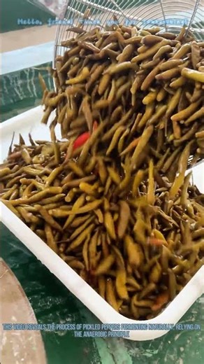 Natural Fermentation of Pickled Peppers: The Anaerobic Principle in Action