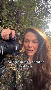 83K views · 8.2K reactions | Wildlife filmmaking in the badger forest...
