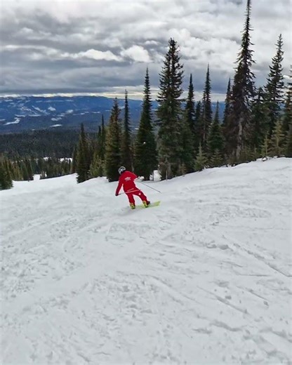 Snowboarding With Poles