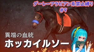 【琴葉姉妹実況】ダーレーアラビアン系禁止縛り #9 【WinningPost9_2020】
