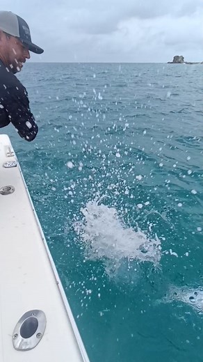 Bucket list fish in a bucket list fishery. Roosterfish 🤝 Panama 🇵🇦 🎣 Fishing Expedition Panama #panama #fishing #roosterfish #saltwaterfishing #fishingbooker | FishingBooker