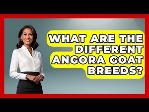 What Are The Different Angora Goat Breeds? - The World of Agriculture