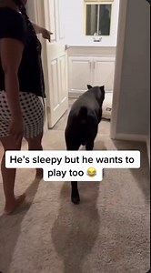 Bane asserting his independence 💀 | Raising Bane