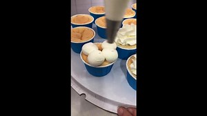 Satisfying Brown Cupcake With Different White Icing Shape And Cherry Topping