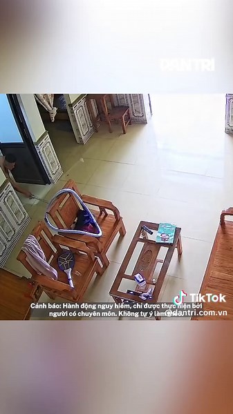 Phát hiện rắn rơi từ phía điều hoà xuống, cô gái hét thất thanh cầu cứu người nhà #dantrinews #xuhuong #LearnOnTikTok