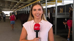 "I couldn't be happier looking down the track." Groundswell, the $2.3m colt and full brother to Shoals was present at Pakenham Racing Club this morning. Hear from Freedman Racing about how their horses trialled. http://bit.ly/2RJ9ZwH | Racing.com