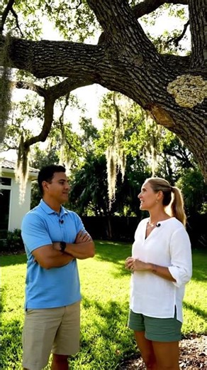 Diseased Trees & Hurricane Prep
