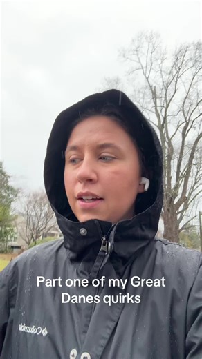 Quirky Great Dane: Unique Traits and Behaviors