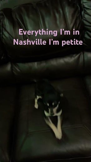 Ain’t my dog so cute she t ￼