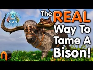 Ark How To Tame A BISON & Abilities!