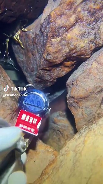 #diving #crab #seaside #seafood #catchthesea