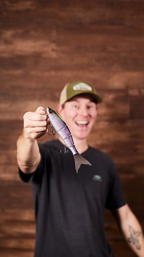 Need new gear? Check out this week's What's New At Tackle Warehouse with Tom! Head Over to TackleWarehouse.com to check out some of the latest releases! New Releases 👉https://bit.ly/47OH6mR [ #TackleWarehouse | #WNTW ] | Tackle Warehouse
