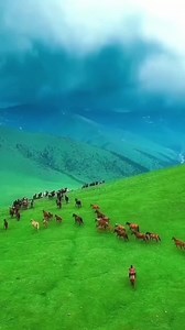 99 Names of Allah with Urdu Translation