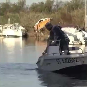 Giant seagull poops on mans head 😂