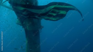 The USS Hoyt Vandenberg in Key West, from underwater.