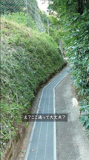 東京の秘境・秋川渓谷とその先へ (19) グーグルマップで気になった場所