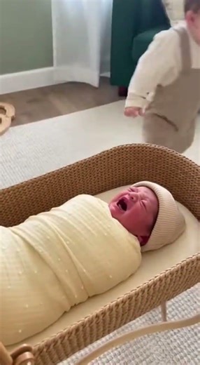 Toddler vs Newborn Sound Battle 😳#FamilyComedy #BabyLife #KidsGoneWild #RealMoments #YTShorts